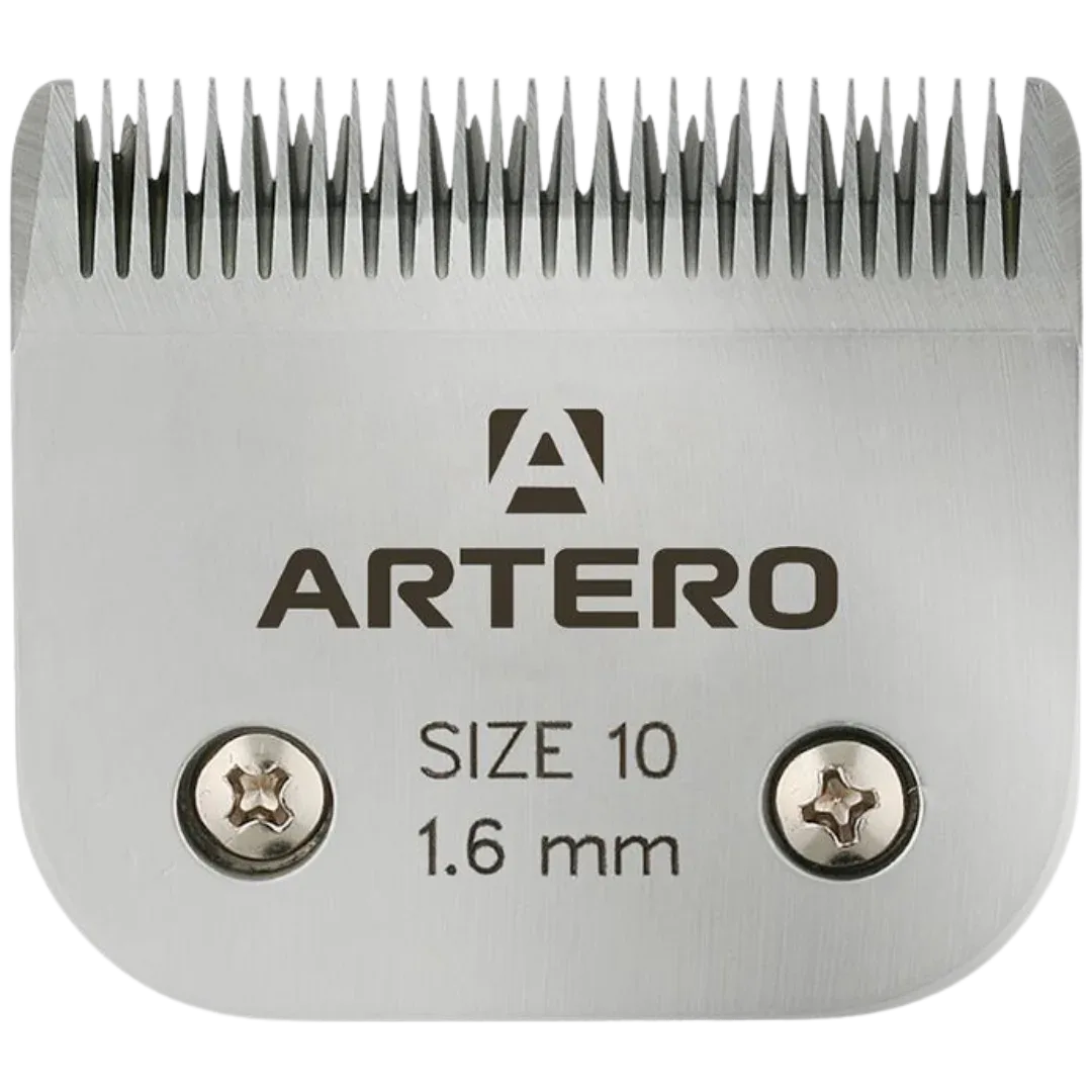 #10 Blade by Artero