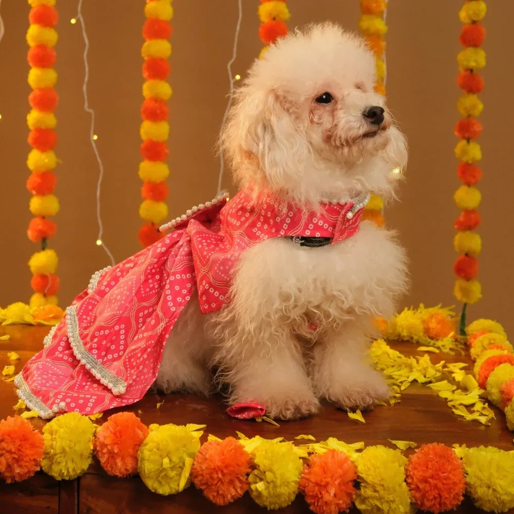 15 Furries Gulabo Lehenga for Dogs (Pink) - Image 2