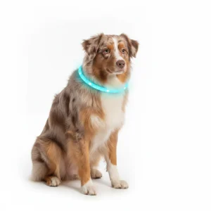 1Pc USB Rechargeable LED Dog Collar Multi Color Lighting Dog Safety Collar Cuttable Length Glow Dog Collar For