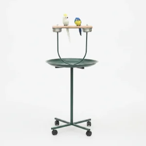 48" Rolling T-Stand, Parrot Stand, Bird Training Activity Playground With Wheels and Perch,, Bird Play Perch,