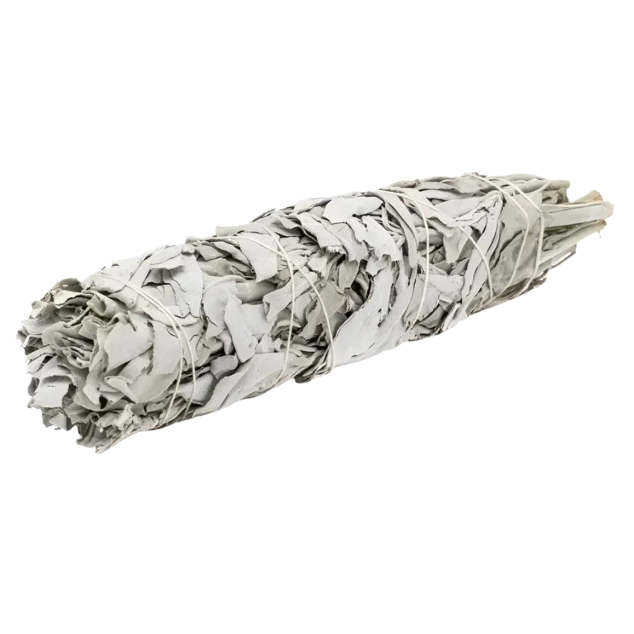 6" Mini California White Sage Smudge