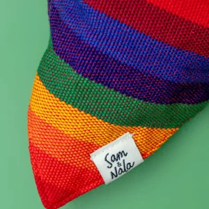 A Case Of Stripes Dog Bandana in Rainbow (FINAL SALE)