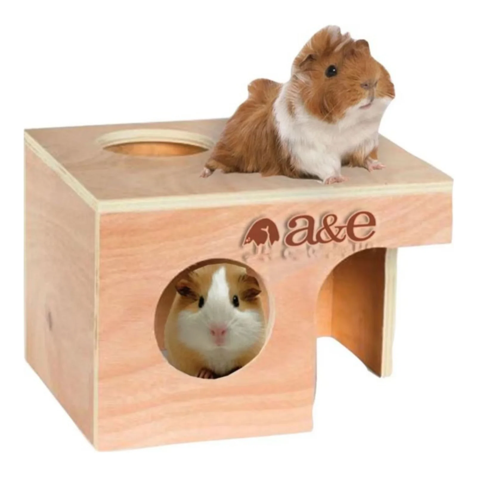 A & E Cages Nibbles Guinea Pig Hut, Large
