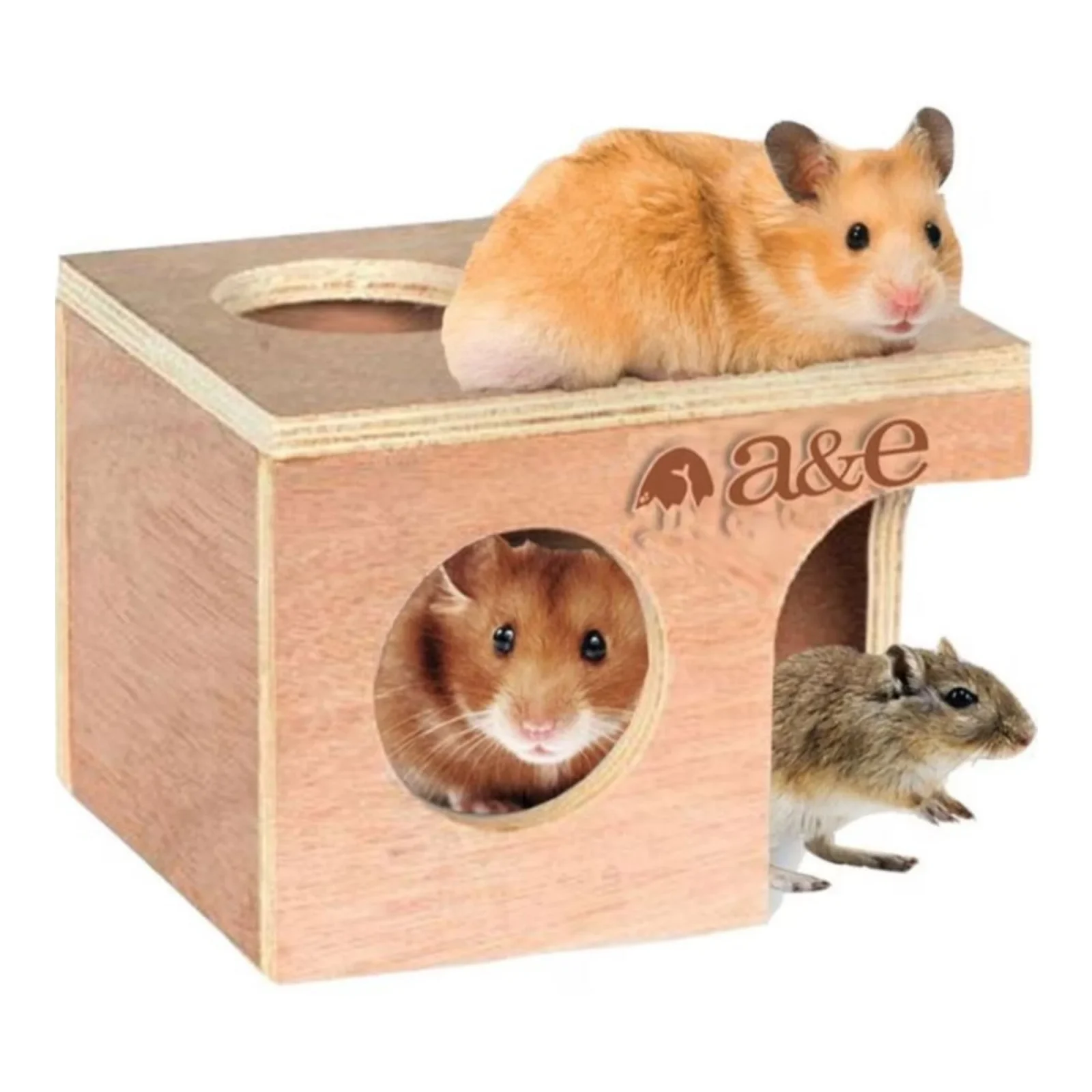 A & E Cages Nibbles Hamster/Gerbil Hut, Medium