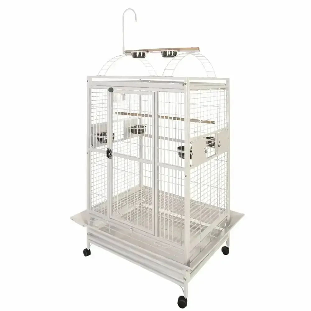 A & E Cages Play Top Bar Spacing: 1"Bird Cage 36"x28"x66"