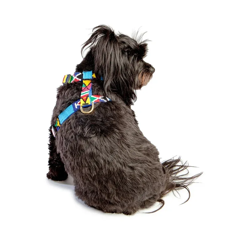 A TAIL WE COULD WAG | Moab Sky Harness - Image 2