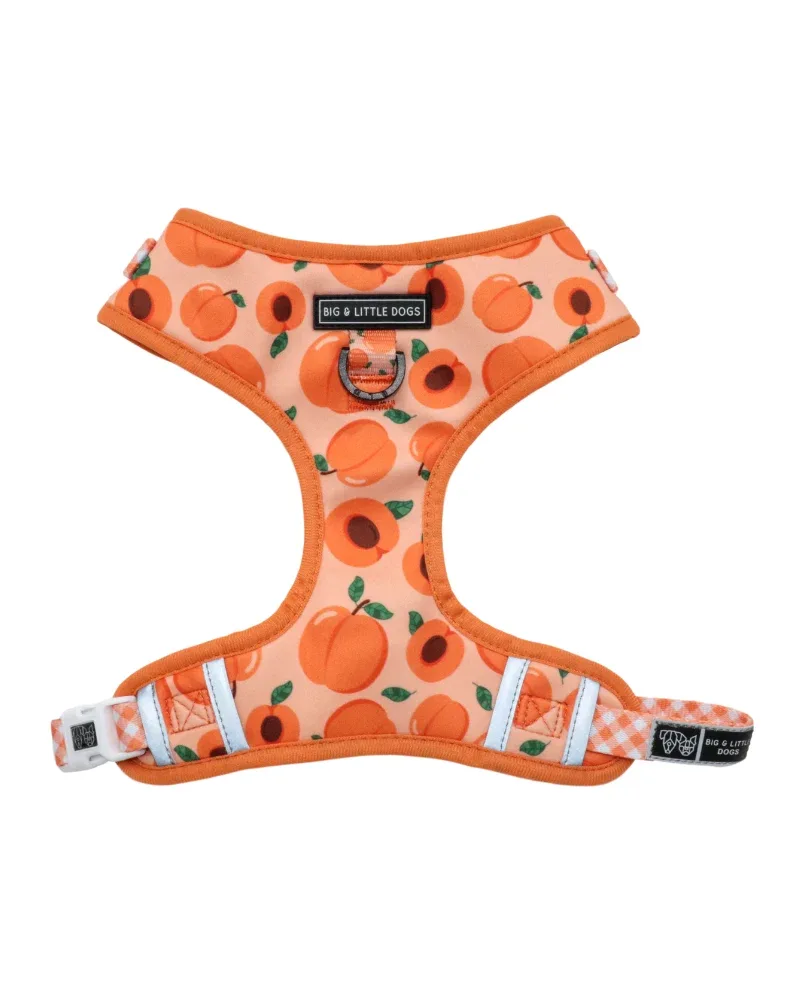 Adjustable Dog Harness in Just Peachy <> - Image 2
