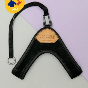 Adjustable Easy Dog Harness in Black