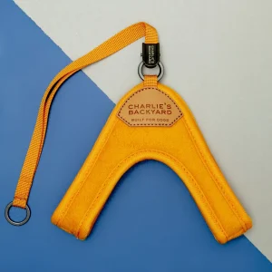 Adjustable Easy Dog Harness in Yellow (Dog & Co. X Charlie's Backyard Exclusive)