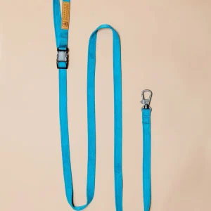 Adjustable Easy Dog Leash in Teal