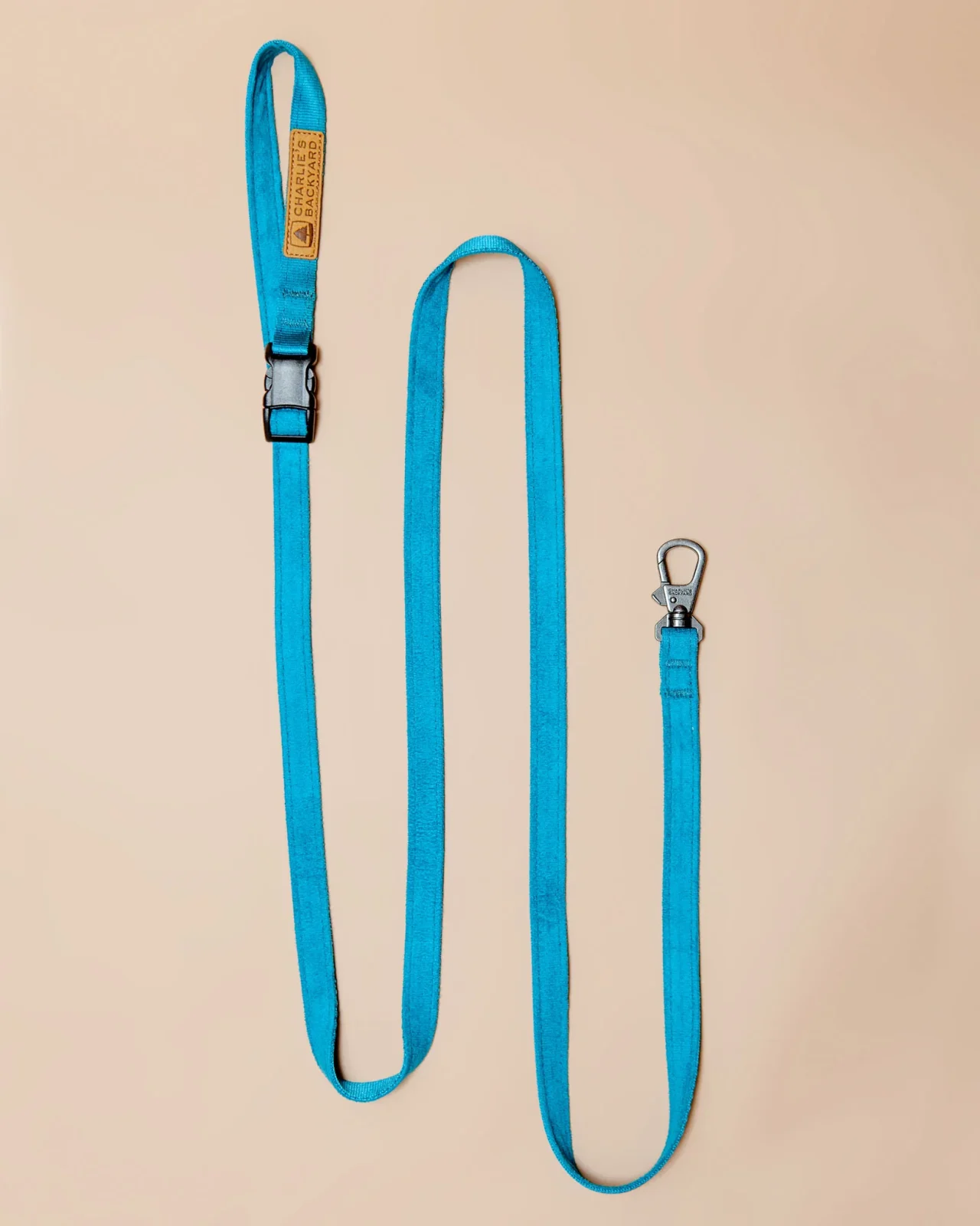 Adjustable Easy Dog Leash in Teal