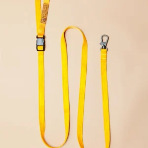 Adjustable Easy Dog Leash in Yellow