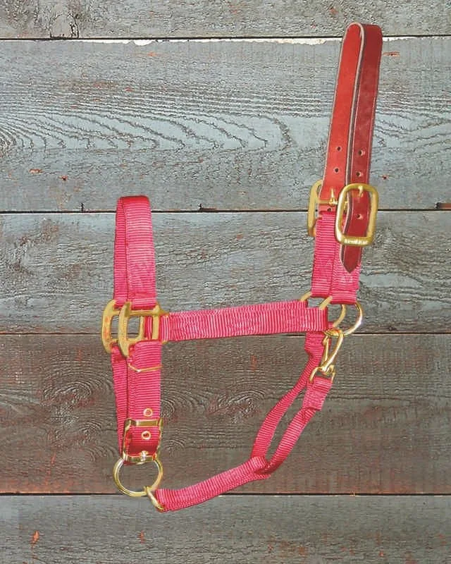 Adjustable Halter with Leather Crown Yearling Blk - Image 2