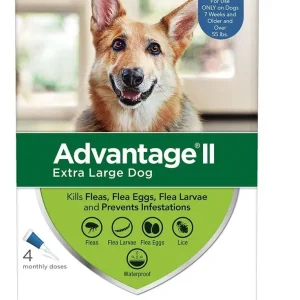 Advantage II Flea Protection X-Large Dog Over 55lbs 4pk