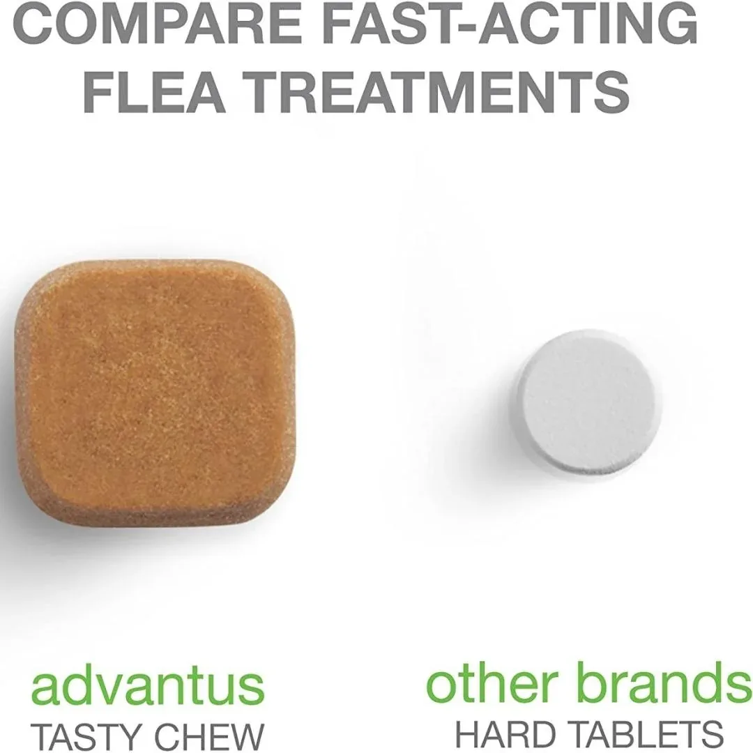 Advantus Chewable Flea Treatment for Dog 23-110lbs 30ct - Image 2
