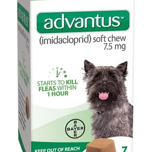 Advantus Chewable Flea Treatment for Dog 4-22lbs 7ct