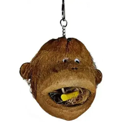 A&E Cage Company Happy Beaks Coco Monkey Head for Birds Toy