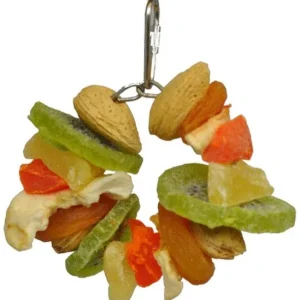 AE Cage Company Happy Beaks Deluxe Fruit and Nut Ring Jr Tropical Delight