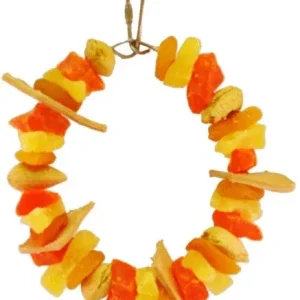 AE Cage Company Happy Beaks Mixed Fruit Ring Tropical Delight