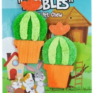AE Cage Company Nibbles Barrel Cactus Loofah Chew Toy with Wood