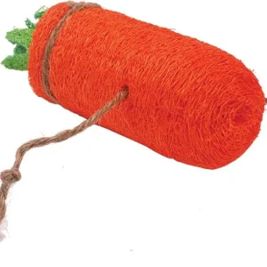 AE Cage Company Nibbles Carrot Loofah Chew Toy Large