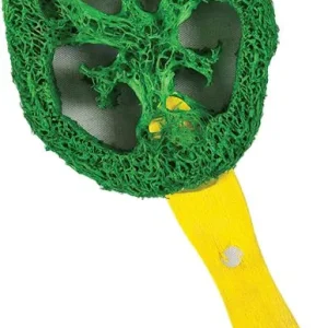 AE Cage Company Nibbles Lollipop Loofah Chew Toy