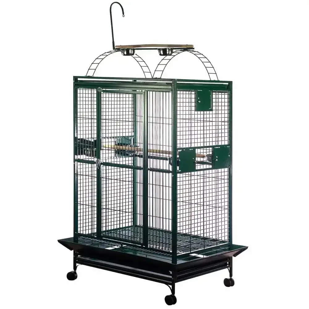 A&E Cage Company Play Top Bar Spacing: 1" Bird Cage 40"x30"x75"