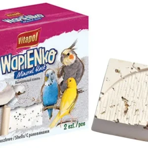 AE Cage Company Sea Shell Infused Bird Mineral Block Large