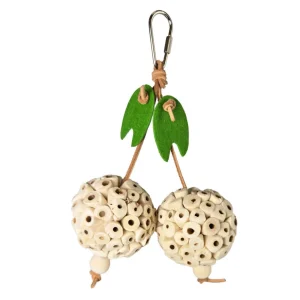 A&E Happy Beaks Picky Pair Hanging Bird Chew