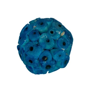 A&E Happy Beaks Vivid Vibes Sola Balls 4pk