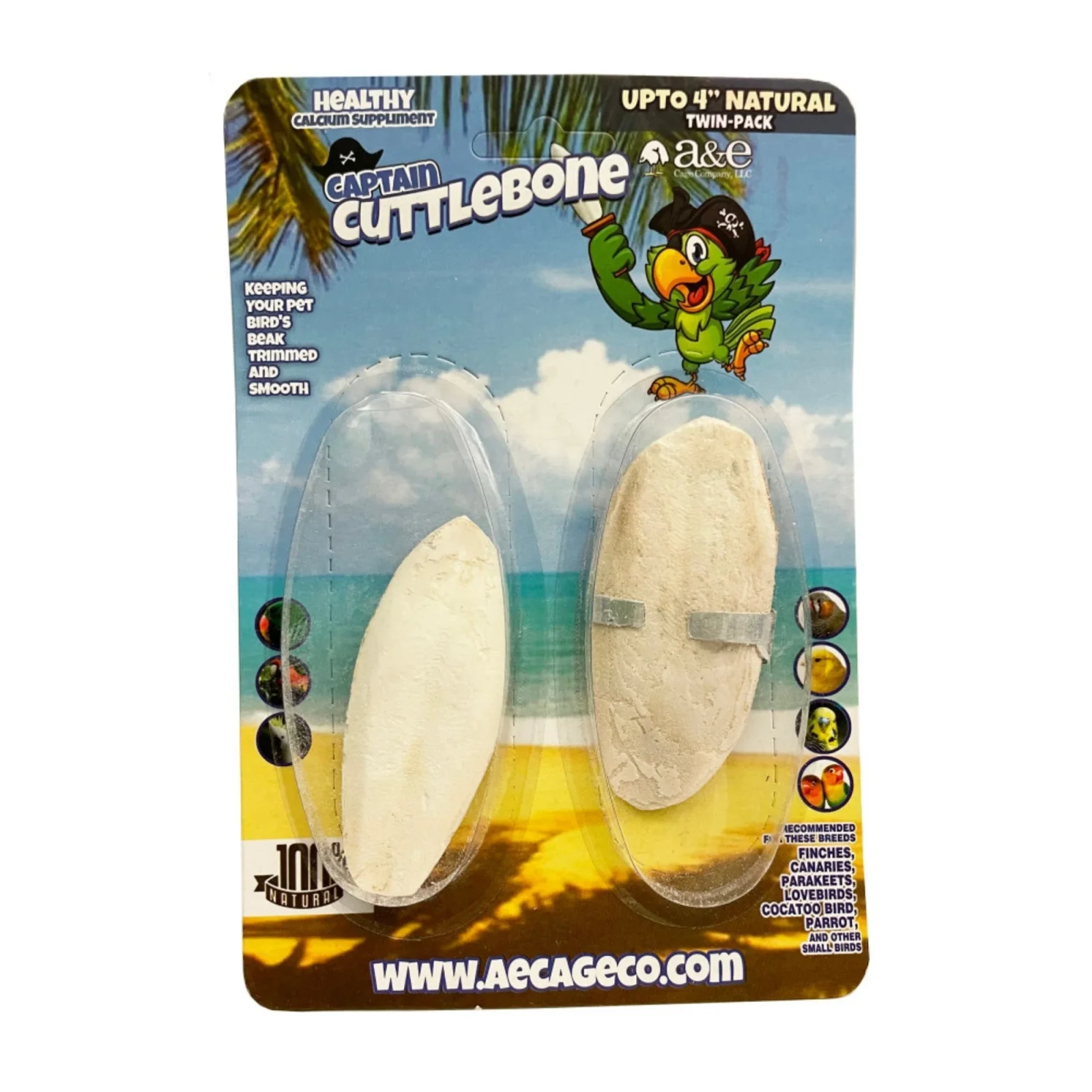 A&E Natural Cuttlebone 4in 2pk