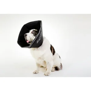 All Four Paws Dog Comfy Cone E-Collar, Soft Recovery Dog Collar, Black, Multiple Sizes