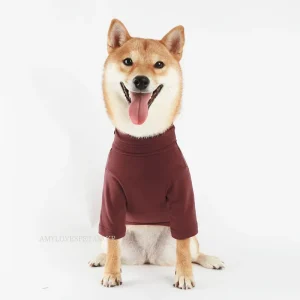 ALP | B-Turtleneck in Wine