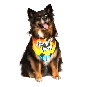 Always on Vacay Dog Bandana by Dog Fashion Living