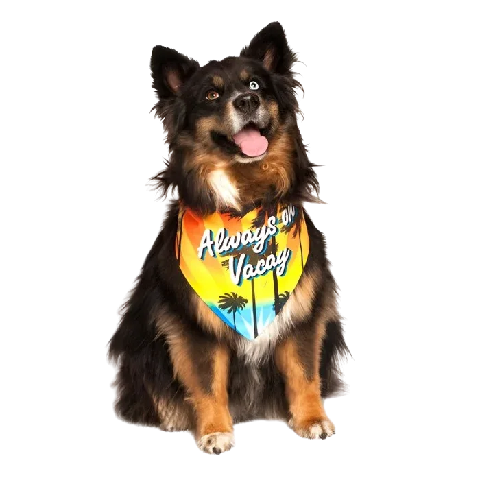 Always on Vacay Dog Bandana by Dog Fashion Living