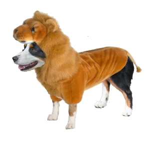 AMAZING PET PRODUCTS | Lion Costume
