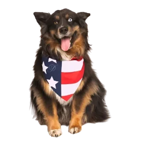 American Flag Dog Bandana by Dog Fashion Living