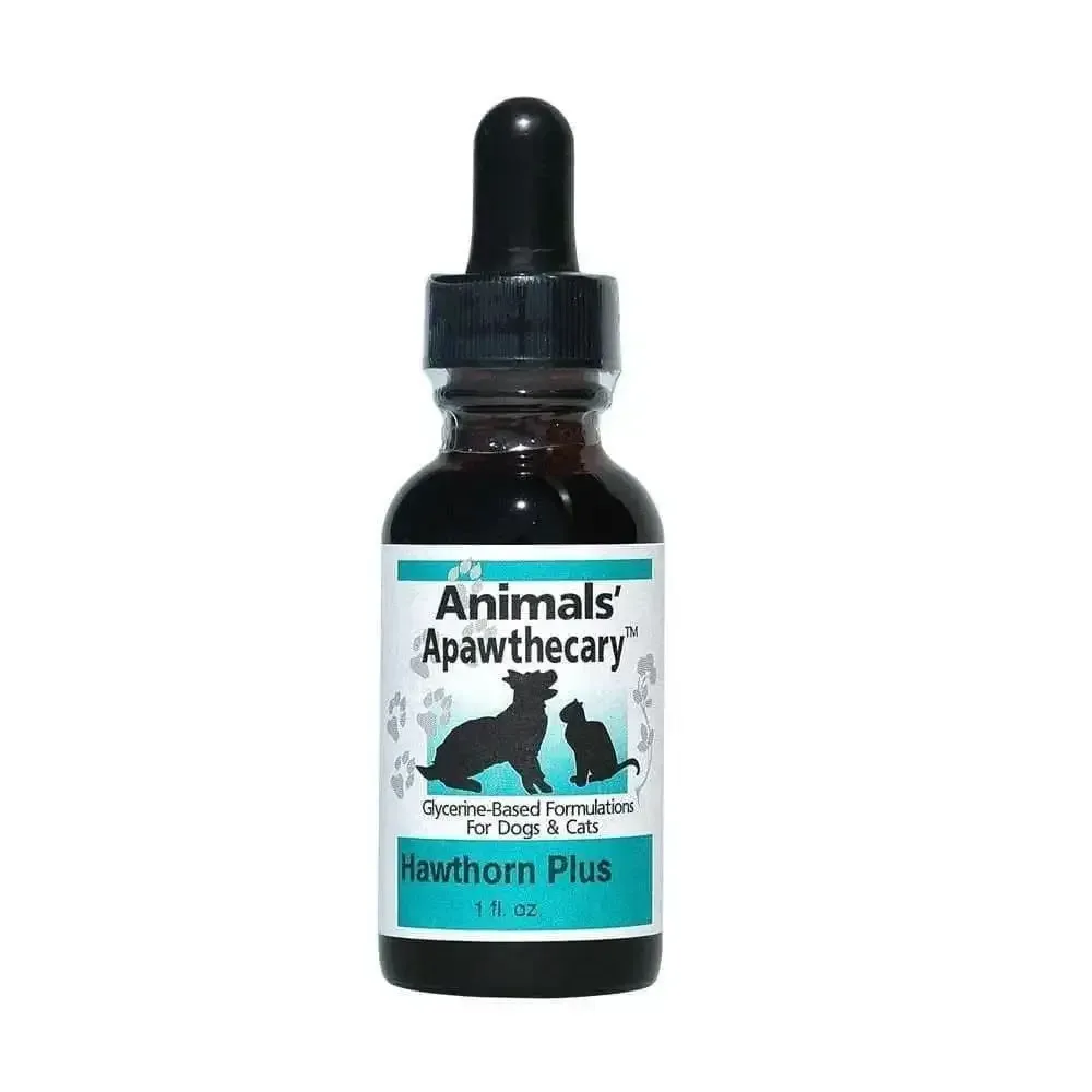 Animal Essentials® Heart Health Cardiovascular Support for Cat & Dog 1 Oz