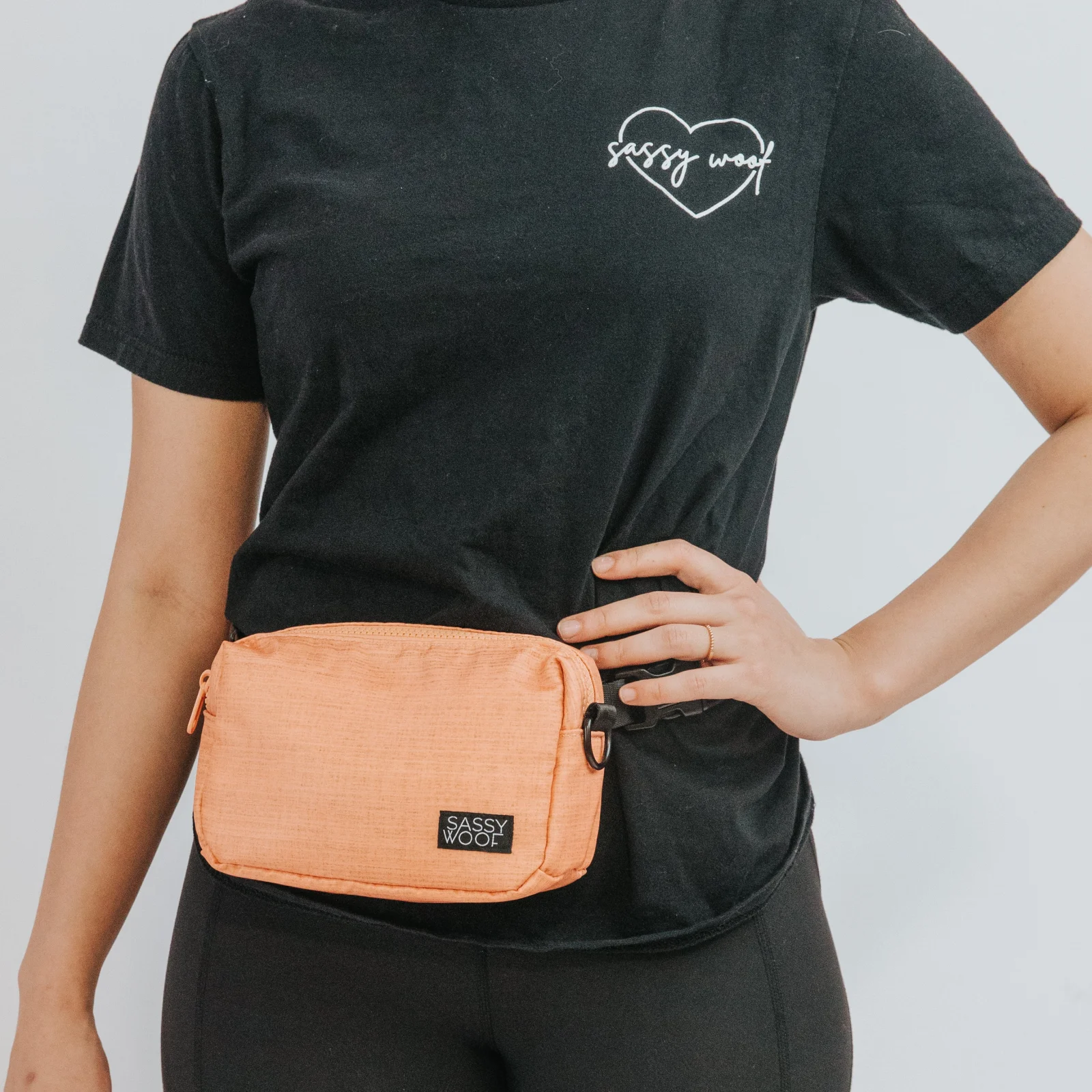 Apple Cider Woof Pack (Bag Only) - Image 2