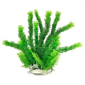 Aquatop Cabomba Aquarium Plant with Weighted Base Green 6 in