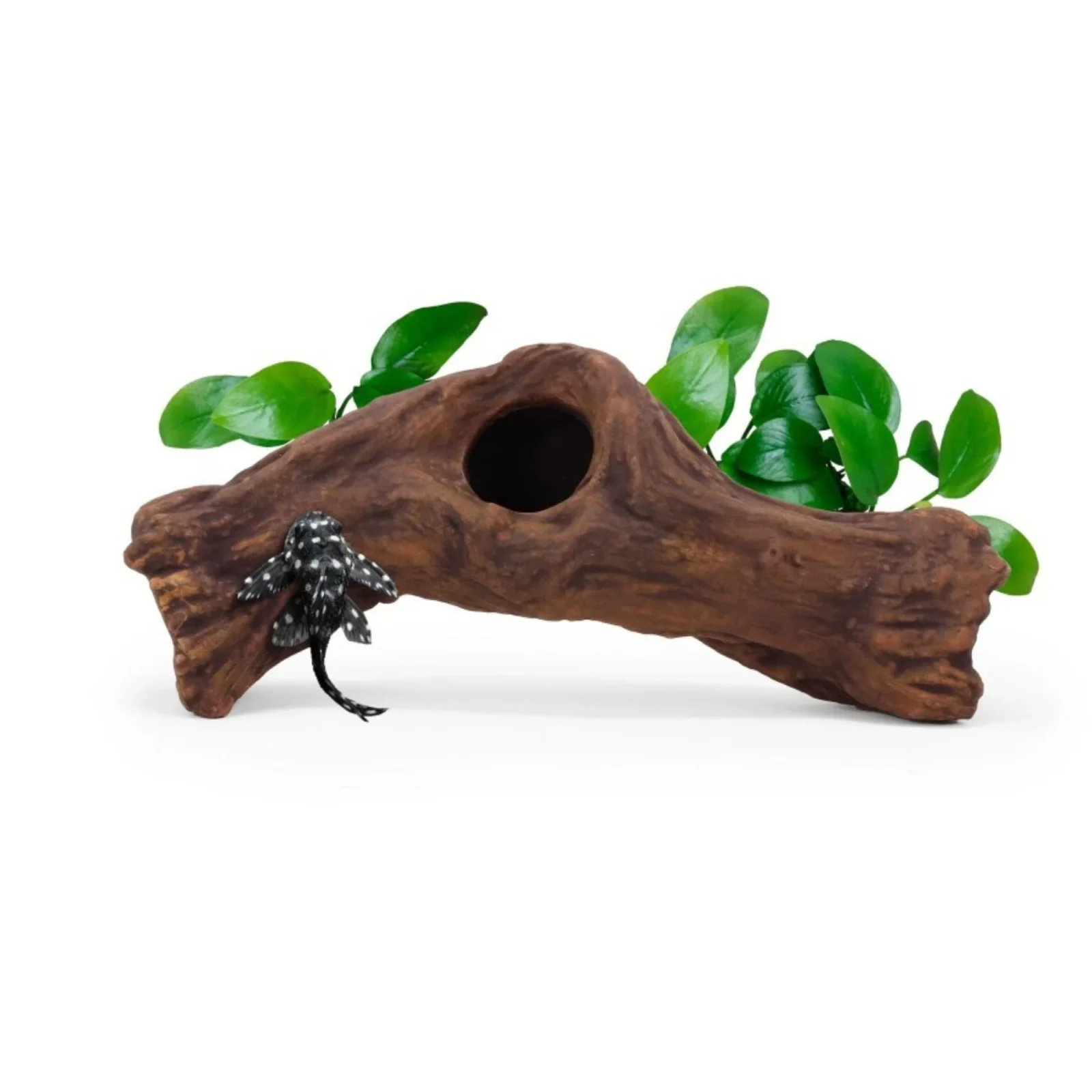 aquavitro Ceramic Hides Aquatic Ornament B1, One Size
