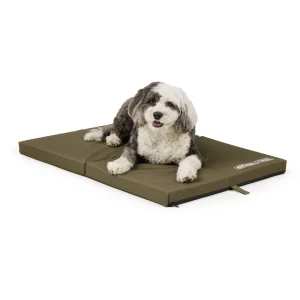 Arcadia Trail® Folded Travel Dog Bed, 22Lx28W, 24Lx36W