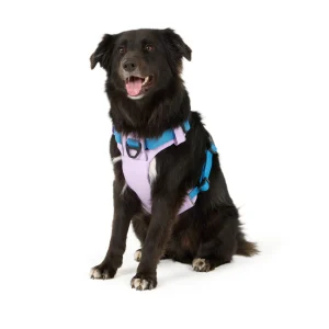 Arcadia Trail® Light Weight Dog Harness Reflective Material for Improved Low Light Visibility
