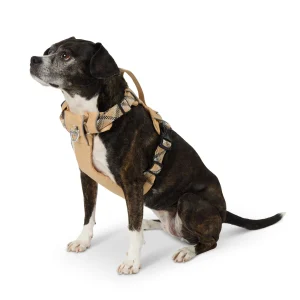 Arcadia Trail® Lightweight Dog Harness, Reflective Thread, Adjustable, Multiple Colors & Sizes