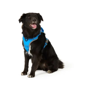 Arcadia Trail® Magnetic Harness