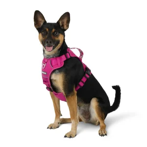 Arcadia Trail® Quick Dry Dog Harness, Reflective Thread, Adjustable, Multiple Colors & Sizes