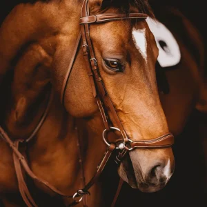Arion Anatomic Drop Noseband Bridle