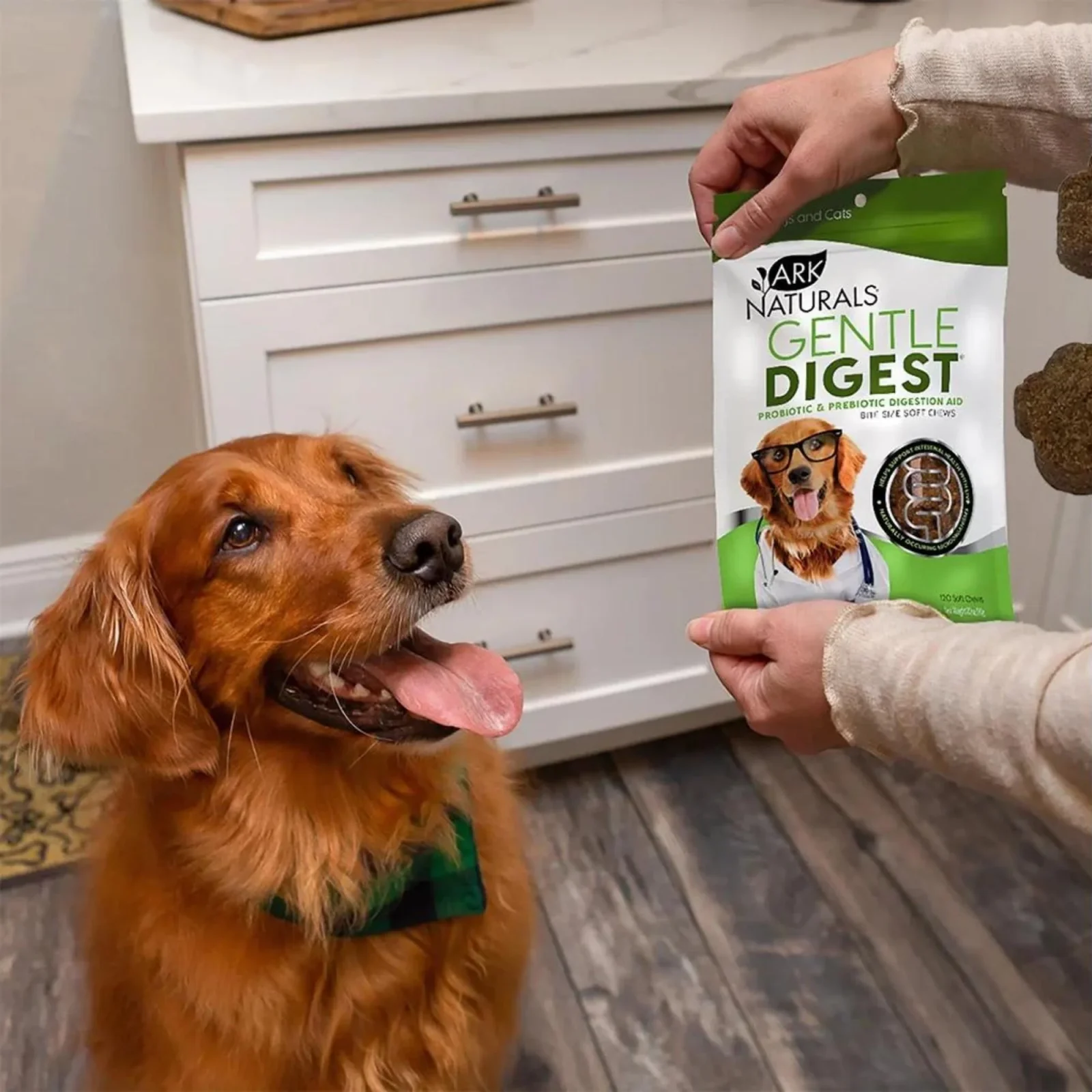 Ark Naturals Gentle Digest Dog & Cat Soft Chews, 120 Count - Image 2