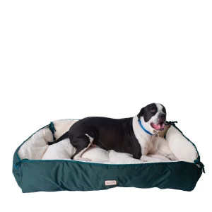Armarkat Laurel Green & Ivory 2-in-1 Cuddler Dog Bed & Mat, XL, 41L x 26W, 53L x 28W