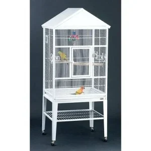 Avian Adventures Loro Flight Bird Cage